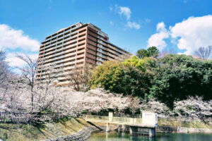 泉北ニュータウンでご近所に知られずに家族葬を執り行う方法｜密葬・直葬のポイントと注意点