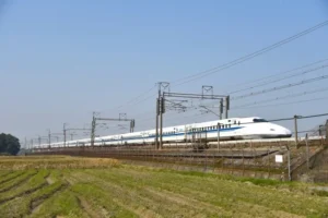 「堺市の実家で親が倒れた」東京から駆けつける間に手配すべき安置場所と葬儀社の選び方