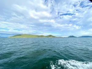 散骨とは｜海洋散骨・山林散骨の方法・費用・法律上の注意点